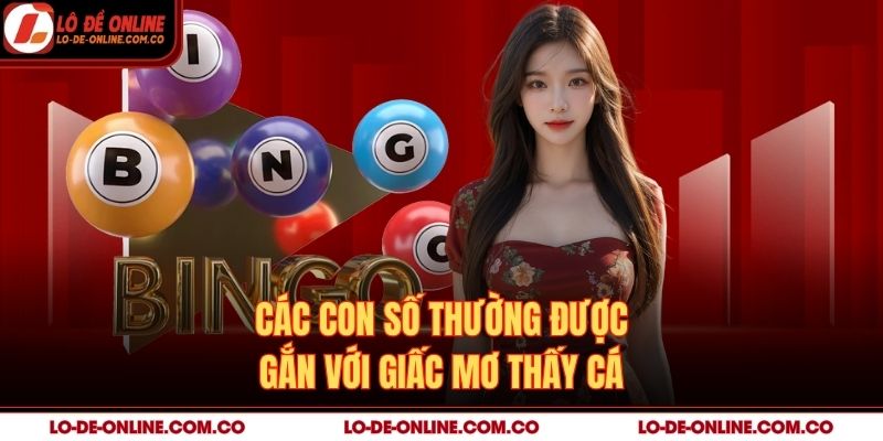 Các con số thường được gắn với giấc mơ thấy cá