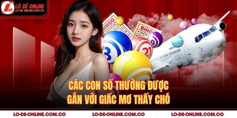 Các con số thường được gắn với giấc mơ thấy chó