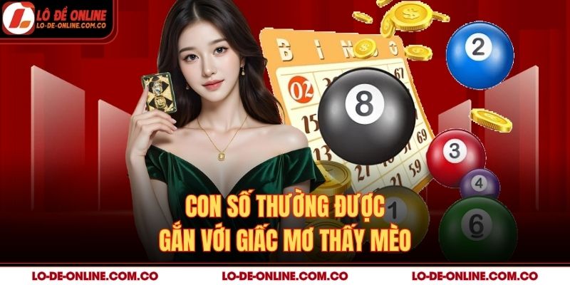 Con số thường được gắn với giấc mơ thấy mèo